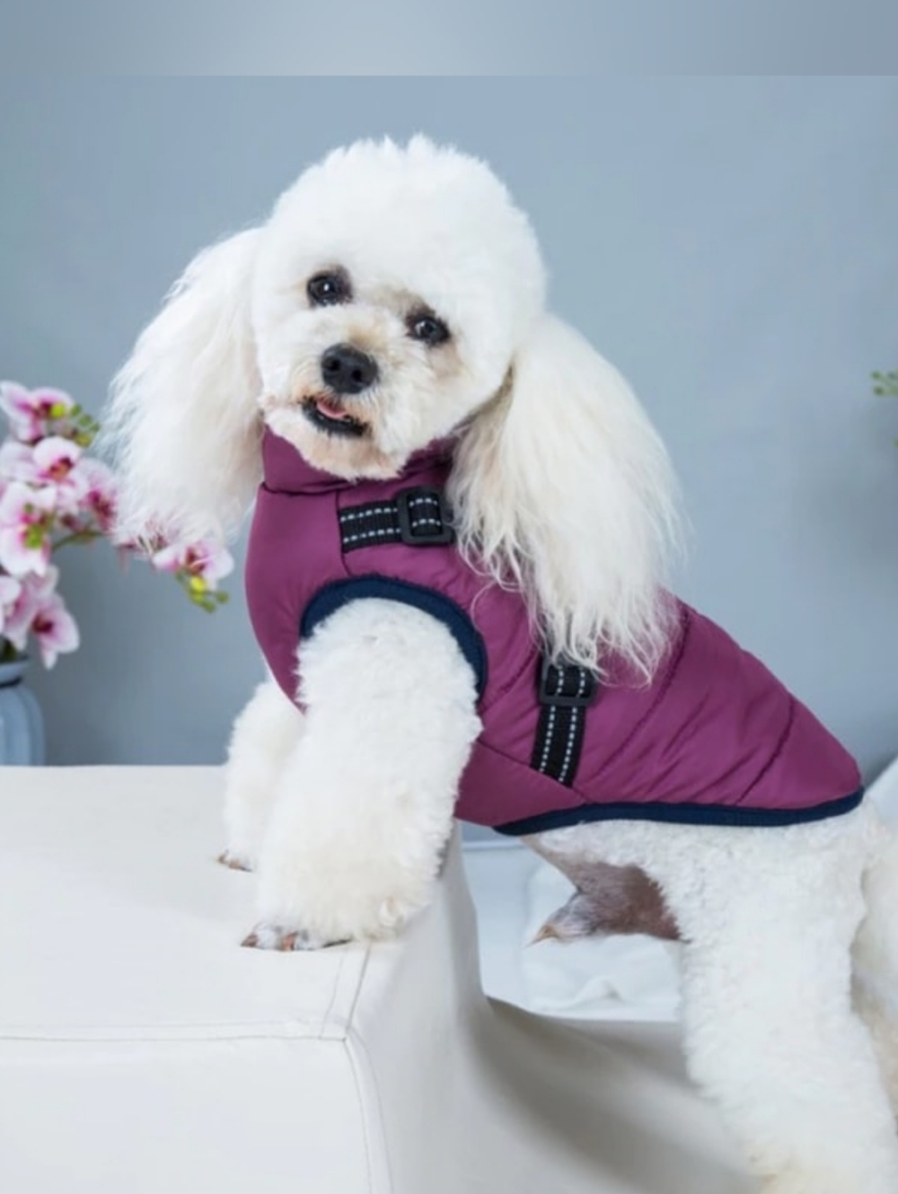 Plum Puffer Dog Vest Jacket - Fashion Sports